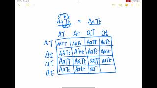 Two Factor Crosses and Chi Square