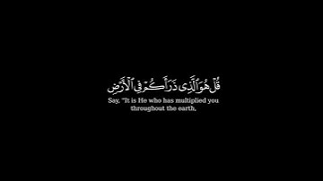 كرومة شاشة سوداء بصوت#أحمد_حمادي #سورة_الملك