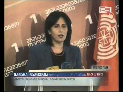 ,,არასაპარლამენტო ოპოზიცია\" უფასო პოლიტიკური რეკლამით სარგებლობას ითხოვს