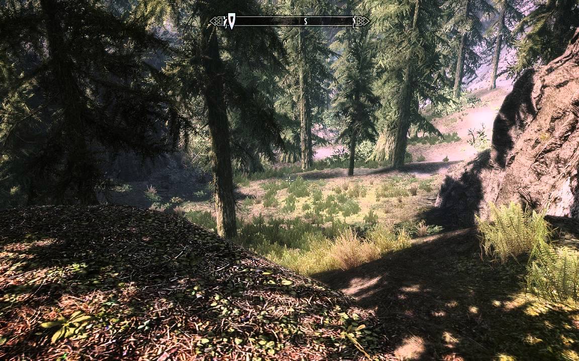 skyrim new player voice mod