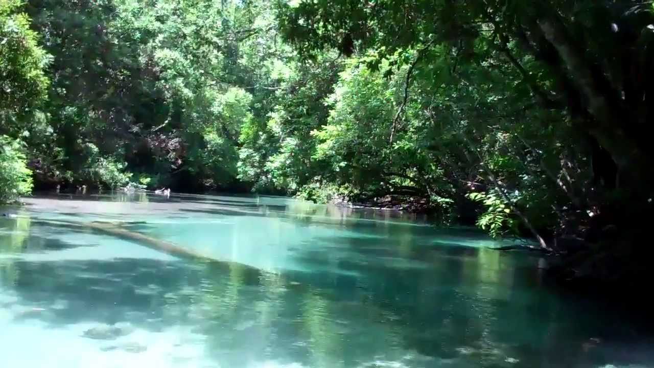 Weeki Wachee Canoe Trip 2011 - YouTube