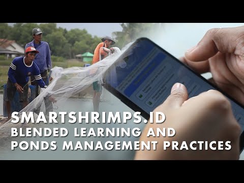 Smartshrimps.id - Blended learning and ponds management practices