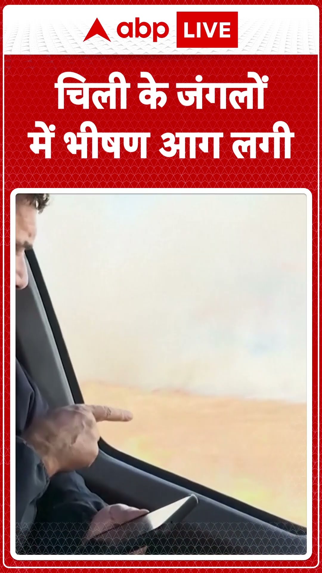 Chile Wild Fire: चिली के जंगलों में भीषण आग लगी | ABP LIVE | SHORTS