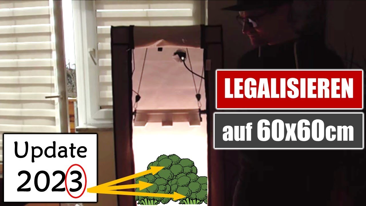 Der beste Lüfter für die 40x40 Growbox | Lautstärke, Leistung, Preis, Installation