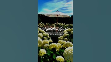 ماهر المعيقلي سورة الواقعة _نحن خلقناكم فلولا تصدقون #gardening #quran #muslimah #hijab #deen #islam