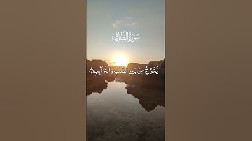خُلِقَ مِنْ مَاءٍ دَافِقٍ 💧✨ | تلاوة خاشعة بصوت الشيخ محمد صديق المنشاوي 📖#المنشاوي 📖 #القرآن_الكريم