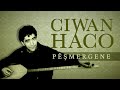 Ciwan Haco Besa Binala Welat Remastered Official Audio 