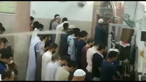 ما تيسر من سورة الزمر للشيخ محمد حسنى عمر