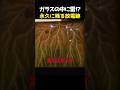 ガラスの中に雷!? 永久に刻まれる放電跡