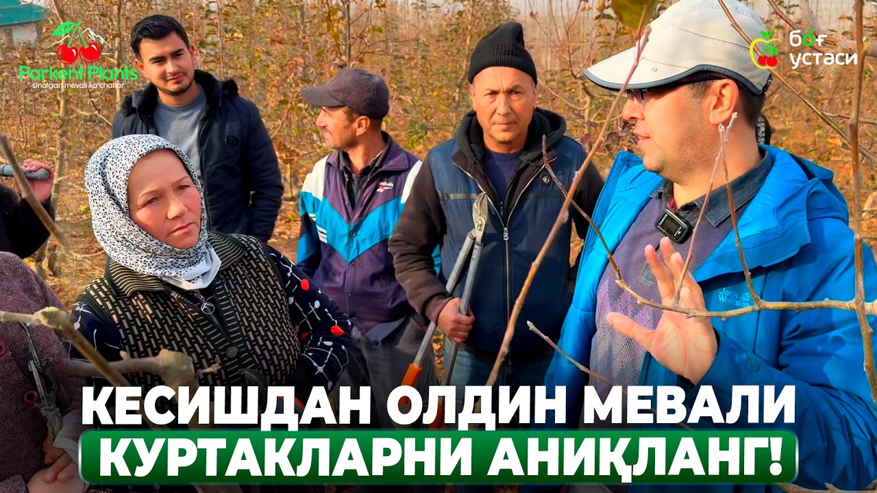 ОЛМА КЕСИШДА МУҲИМ ТАВСИЯЛАР! | ШУҲРАТ АБРОРОВ #shuhratabrorov #kesish #shaklberish #olma