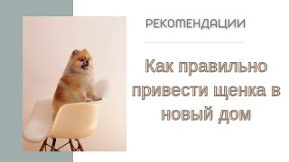 :            . 