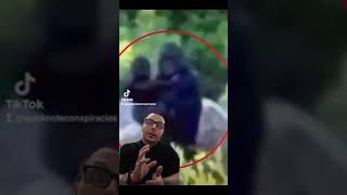 Bigfoot Footage!