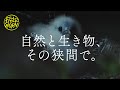 Field Born Vol.6 自然と生き物、その狭間で。