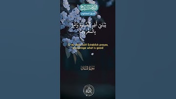 استمع بقلبك للقران  #تلاوة_خاشعة #قرآن_كريم #المصحف  #اكسبلور #حالات_واتس #القرآن_الكريم #تيك_توك