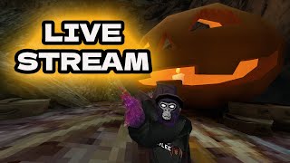 Gorilla Tag Live Stream