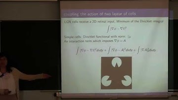 Giovanna Citti - A Lie group model of the visual cortex - 1/3