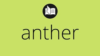 What ANTHER means • Meaning of ANTHER • anther MEANING • anther DEFINITION