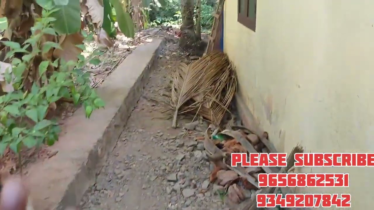 Kozhikode kottupadam 3cent old roof tiled house for sale