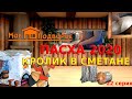 Пасха 2020 - кролик в сметане // &quot;Мое подворье&quot;