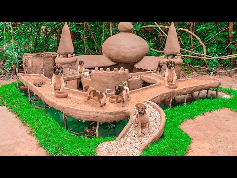 abandoned-and-starving-puppies-rescue-building-mud-house-and-underground-fish-pond