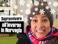 Sopravvivere all' inverno in Norvegia | IaraHeide