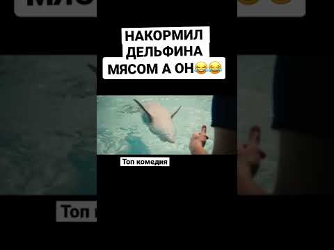 НАКОРМИЛ ДЕЛЬФИНА МЯСОМ КОМЕДИЯ