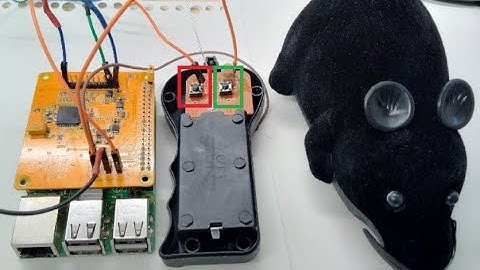 Control robot by mind via RaspberryPi and PiEEG (robot toy)