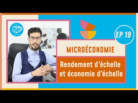 Vidéo: Différence Entre Les économies D'échelle Et Les Rendements D'échelle