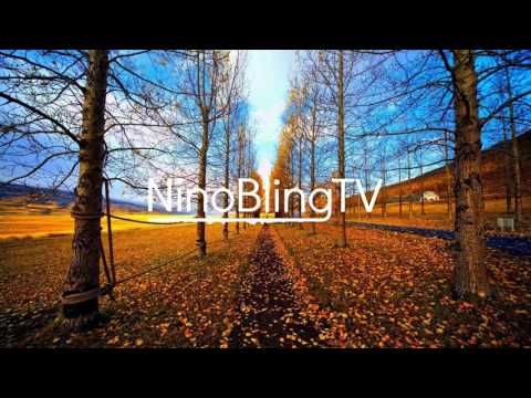 Dotorado Pro African Scream 2