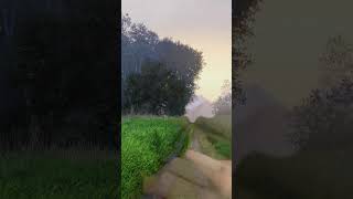 Painting a Hyper-Realistic Grassy Path  #satisfying #artlessons #painting