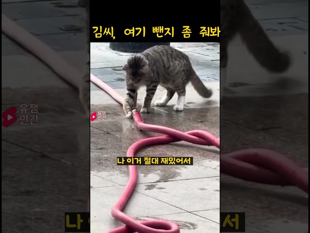 김씨, 여기 뺀찌 좀 줘봐