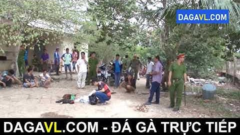 DAGAVL COM   Bắt 11 đối tượng đá gà ăn tiền tại Thới Châu, đá gà trực tiếp.