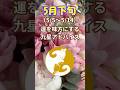 【5月上旬の運勢】運を味方にする九星アドバイス! #占い #今日から開運