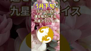 【5月上旬の運勢】運を味方にする九星アドバイス! #占い #今日から開運