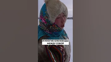 Как кочуют ненцы на Крайнем Севере. Часть 2