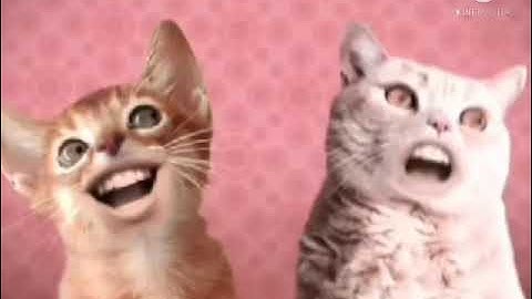 preview 2 numa cats v4.1