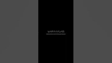 سوره لقمان | ايه 9-11 | القارئ ياسر الدوسري (خالدين فيها وعد الله حقا) #قران #quran