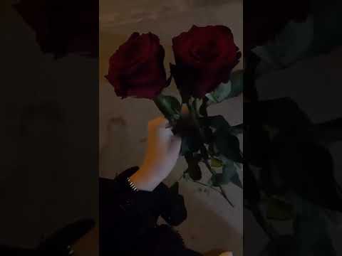 حالات واتس اب عيني لغيرك ما تشوق يا اجمل غرامي