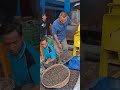 inovasi mesin replle mill.pemecah noten sawit.kaps 3ton/jam.desa penarik Bengkulu Mukomuko.
