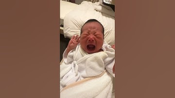 Em bé khóc đòi sữa mẹ #short #baby #babygirl