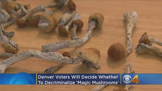 Denver Voters Will Decide Whether To Decriminalize 'Magic Mushrooms'