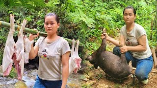 Wild boar trapped - selling wild boar meat, bad guys steal my money