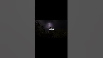 استغفروا الله | سورة النساء | الشيخ ياسر الدوسري #قرآن #ياسر_الدوسري