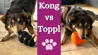 Best toy to keep your dog busy [Toppl or Kong?] by Finn Paddy Dog Training 586 views 1 year ago 7 minutes, 44 seconds