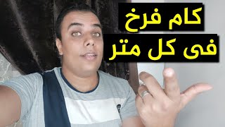 كام فرخ فى كل متر للتربية فى الأرض او البطاريات // عشاق الدواجن