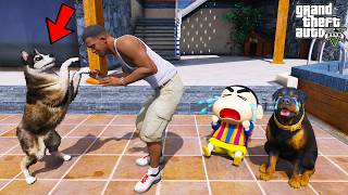 Franklin Brings a New Dog in His House in GTA 5 | SHINCHAN and CHOP screenshot 5