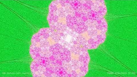Dynamic Interpolation of Julia Sets: Transition between Buffalo and Celtic Types SONIFICATION