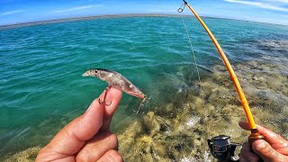 Surreal, TRÊS DIAS e TRÊS NOITES pescando e acampando em uma ILHA INABITADA.