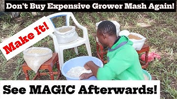 Stop Buying Expensive Feed! Make Grower Mash Easily at Home