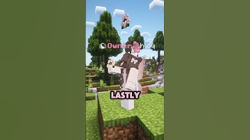 3 things i wish i knew before joining faeries smp! #bedrock #java #minecraft #smp